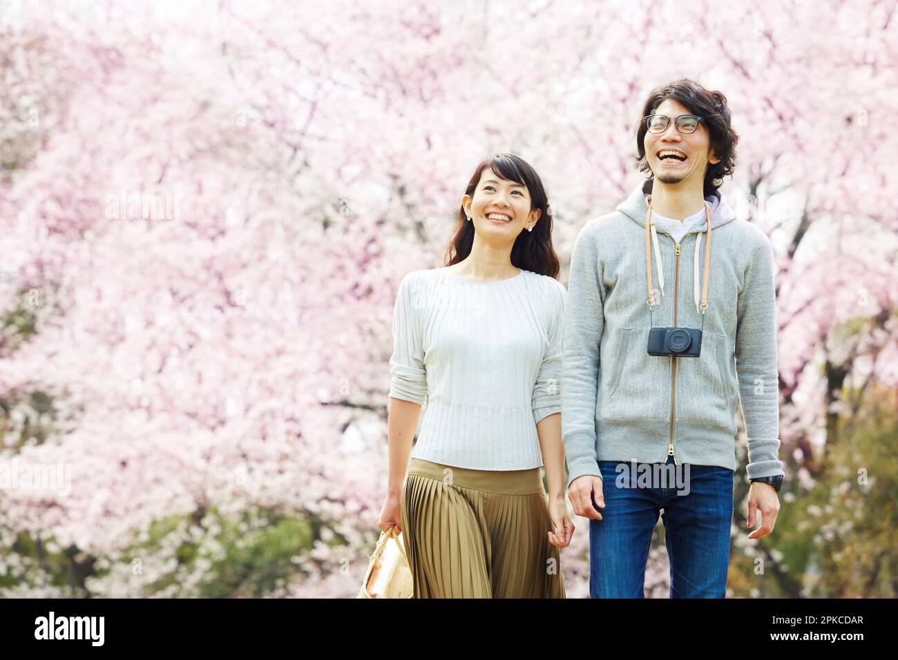 Couple walking under cherry blossom tree Stock Photo - Alamy