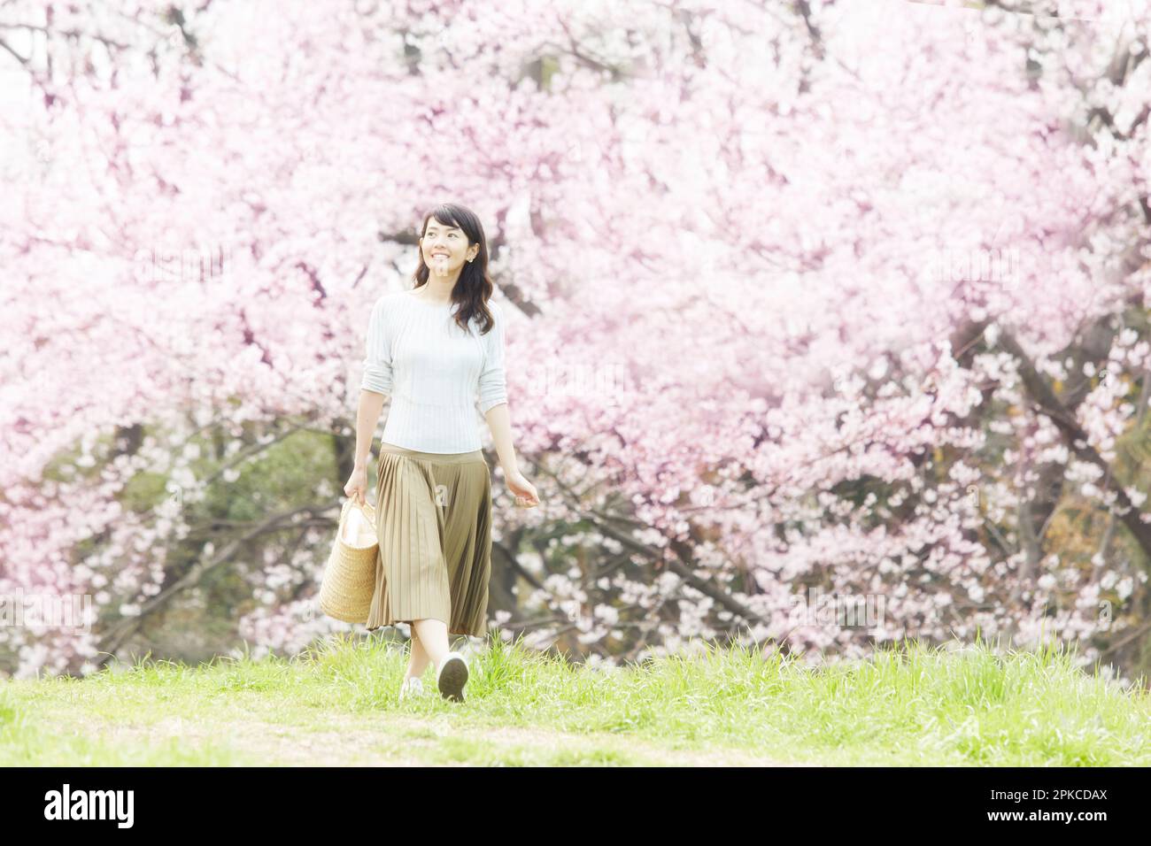 One woman cherry blossom hi-res stock photography and images - Alamy