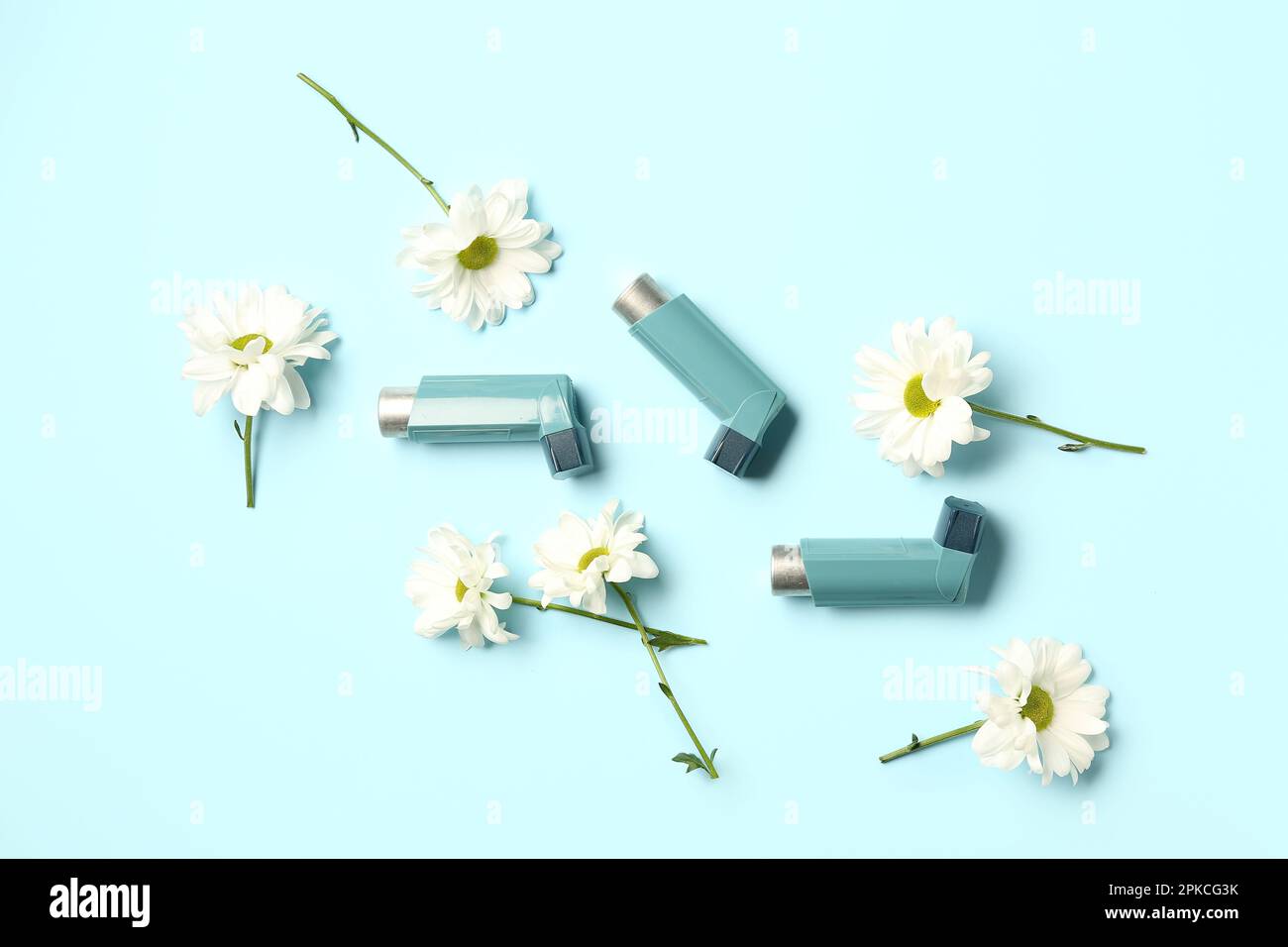 Asthma inhalers with daisy flowers on blue background Stock Photo Alamy
