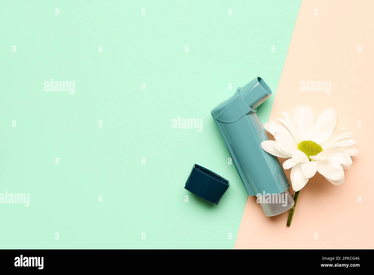 Asthma inhaler with daisy flower on color background Stock Photo Alamy