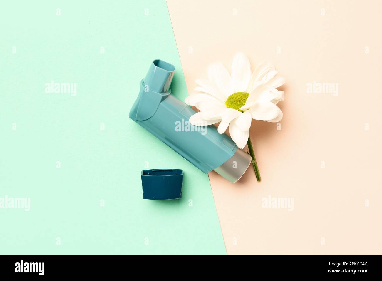 Asthma inhaler with daisy flower on color background Stock Photo Alamy