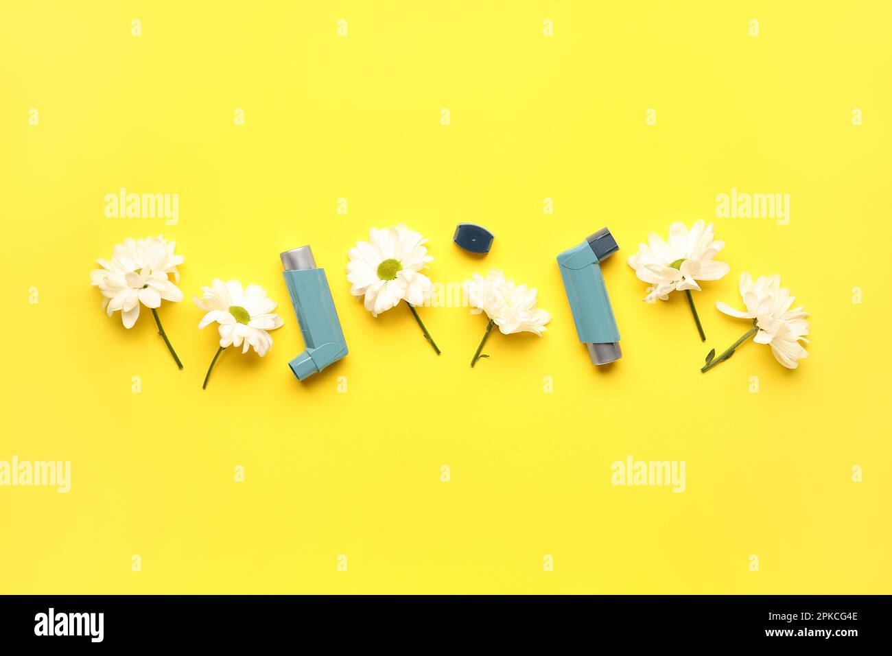 Asthma inhalers with daisy flowers on yellow background Stock Photo Alamy