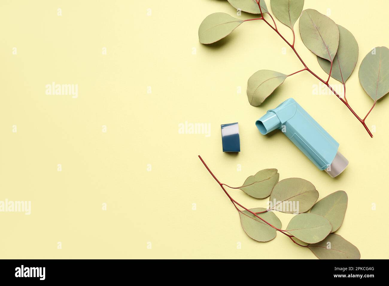 Asthma inhaler with eucalyptus branches on green background Stock Photo