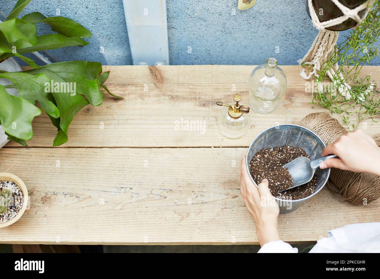 A woman at work scooping up buckets of soil on a workbench Stock Photo