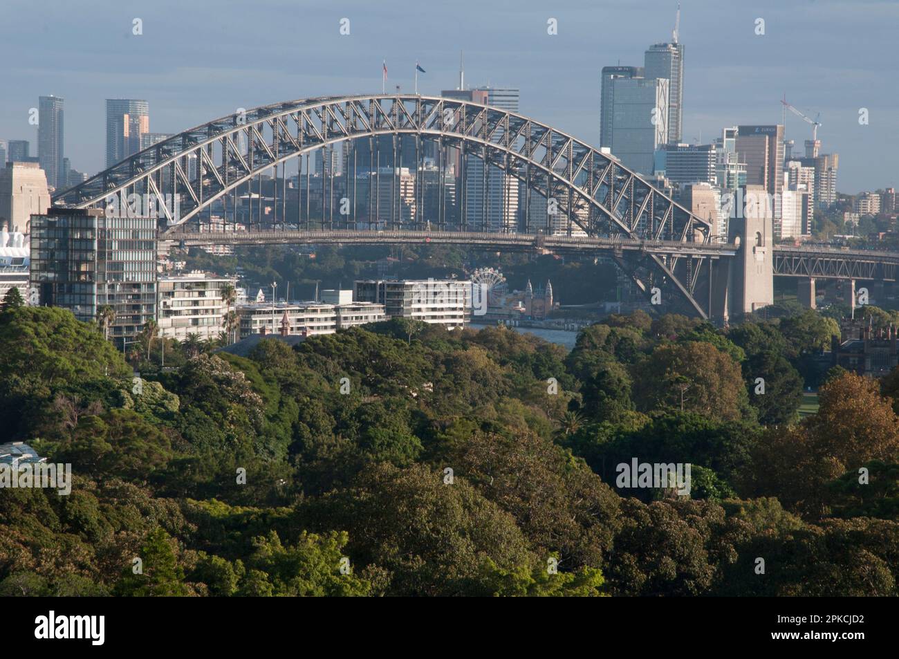 Rooftop view of the Sydney Harbour Bridge looking west from Woolloomooloo over the Royal Botanic Garden, NSW, Australia Stock Photo