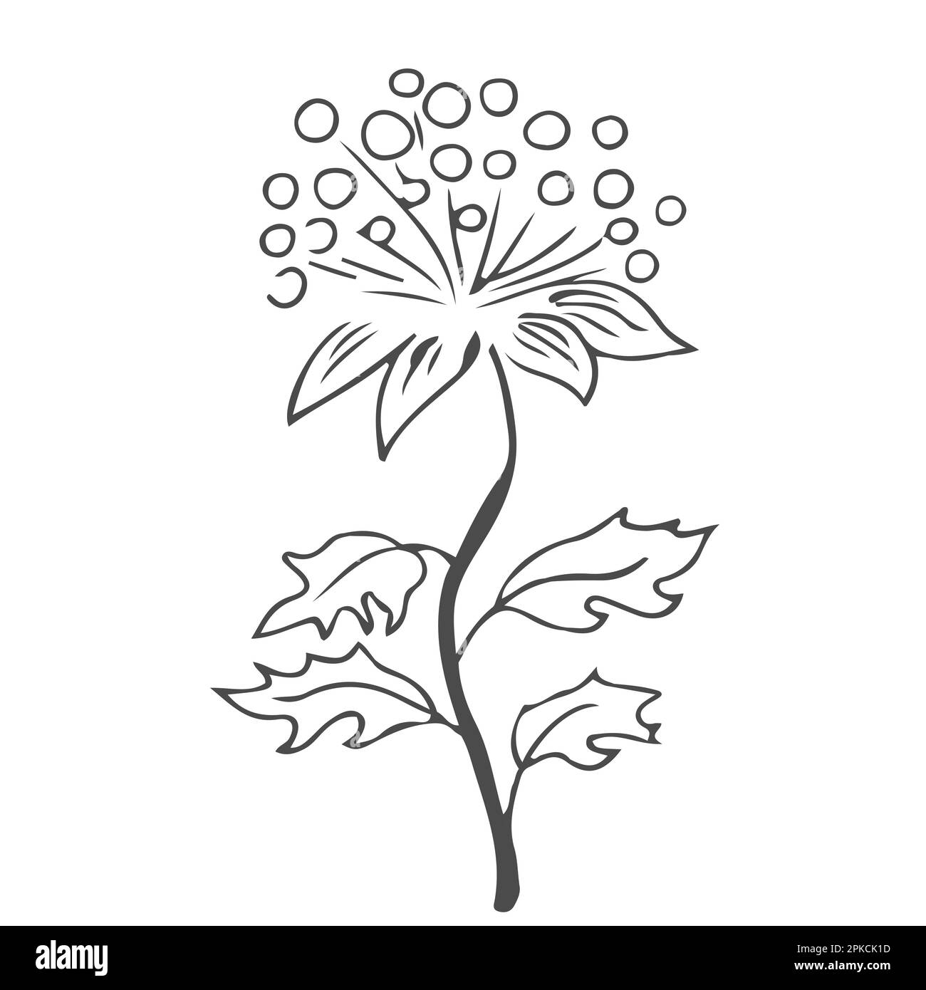 Doodle hand drawn leaves, foliage, cute elegant aesthetic plant