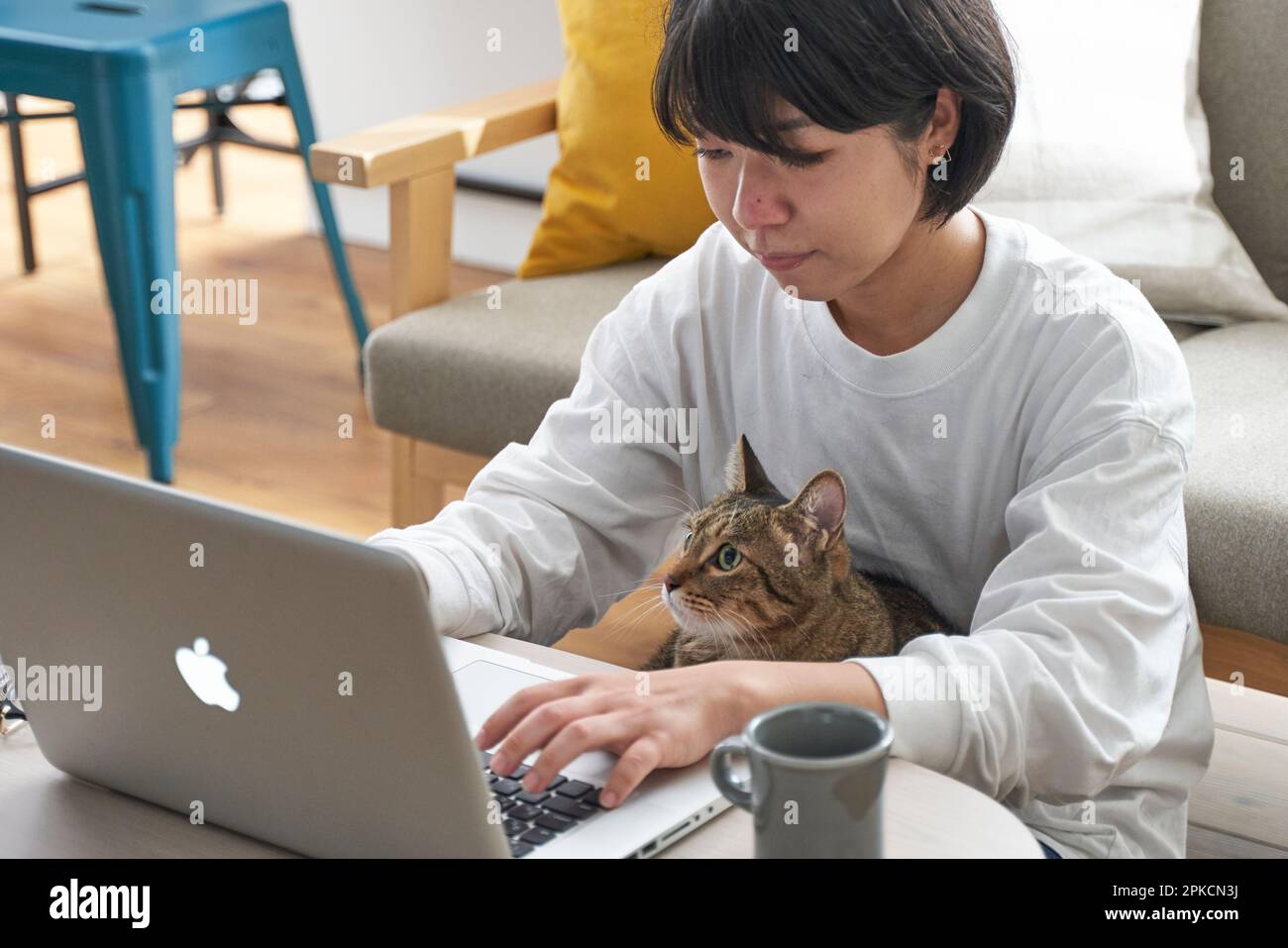 Woman and cat teleworking Stock Photo