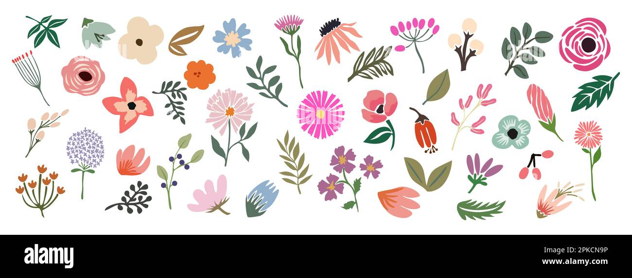 Set of hand drawn floral design vector elements Stock Vector Image ...