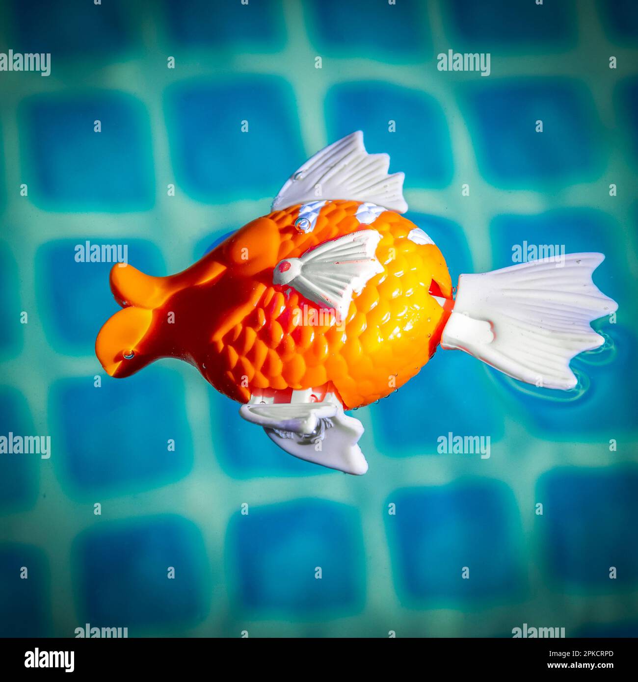 Red fish toy in a blue pool Stock Photo Alamy