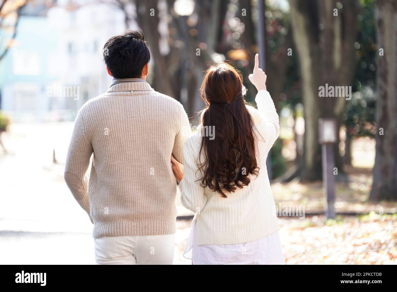 Rear view of a couple in their 20s strolling along a tree-lined avenue in winter Stock Photo