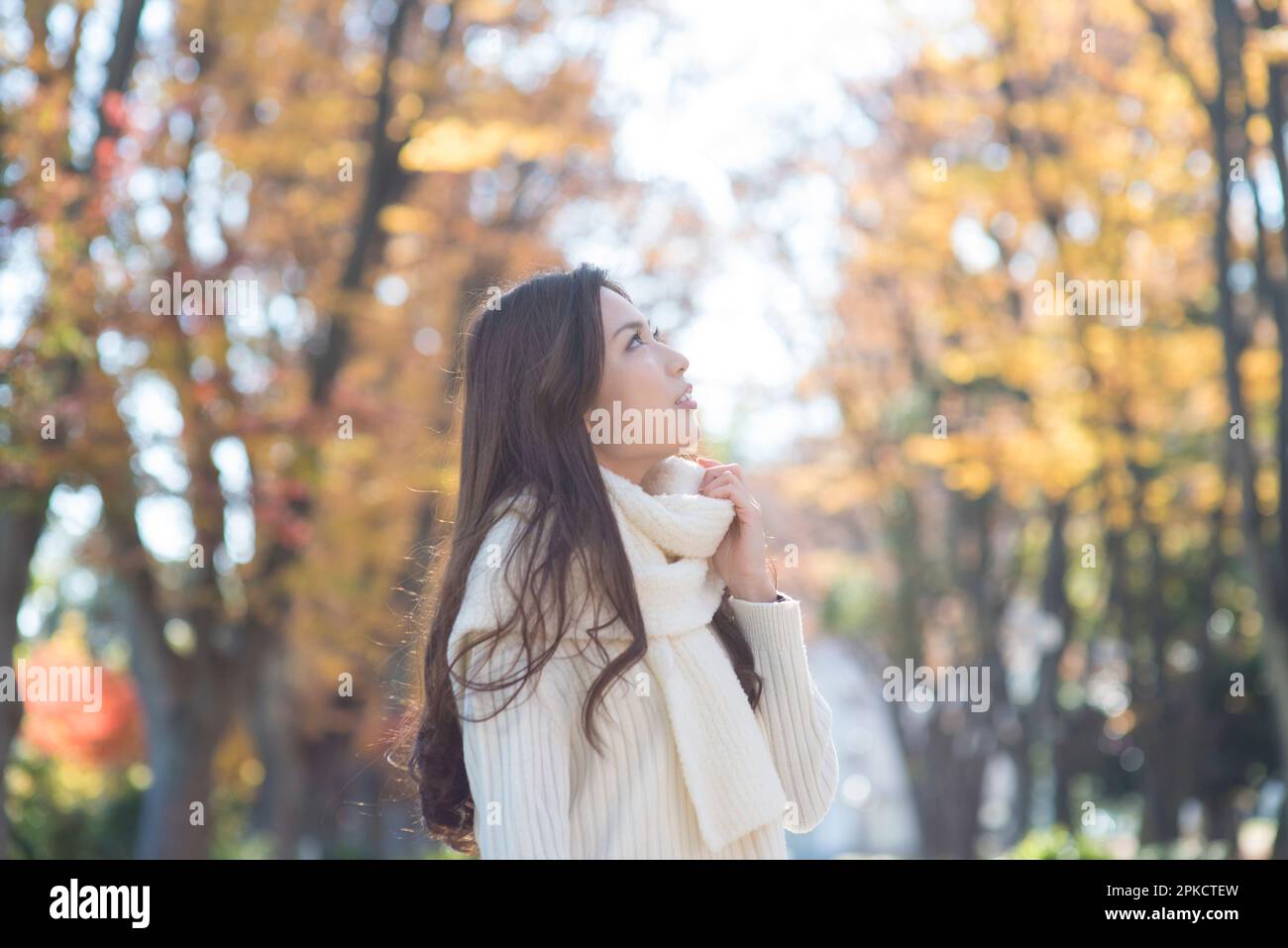A woman in her 20s looking up at autumn leaves Stock Photo - Alamy