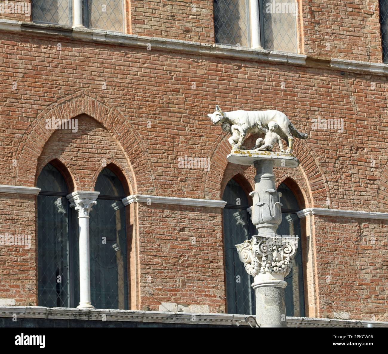 statue of a female wolf in Siena City in Italy called LUPA SENESE in