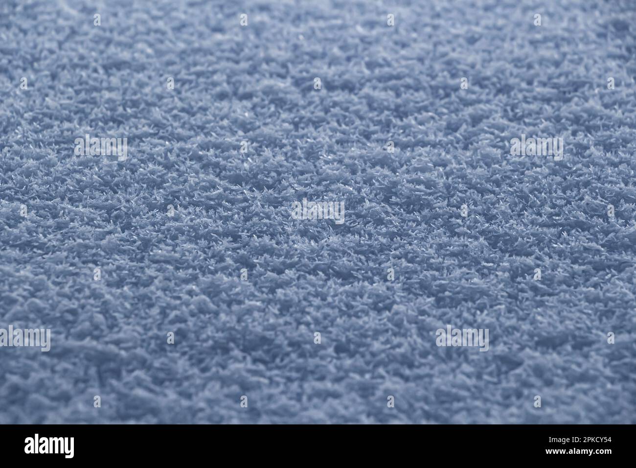 The surface of fresh fluffy bluish snow close-up. Stock Photo