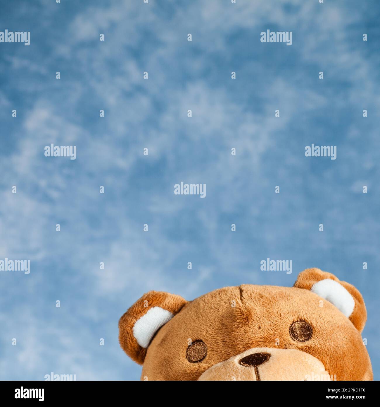 Teddy Bear toy on blue sky background with copyspace Stock Photo - Alamy