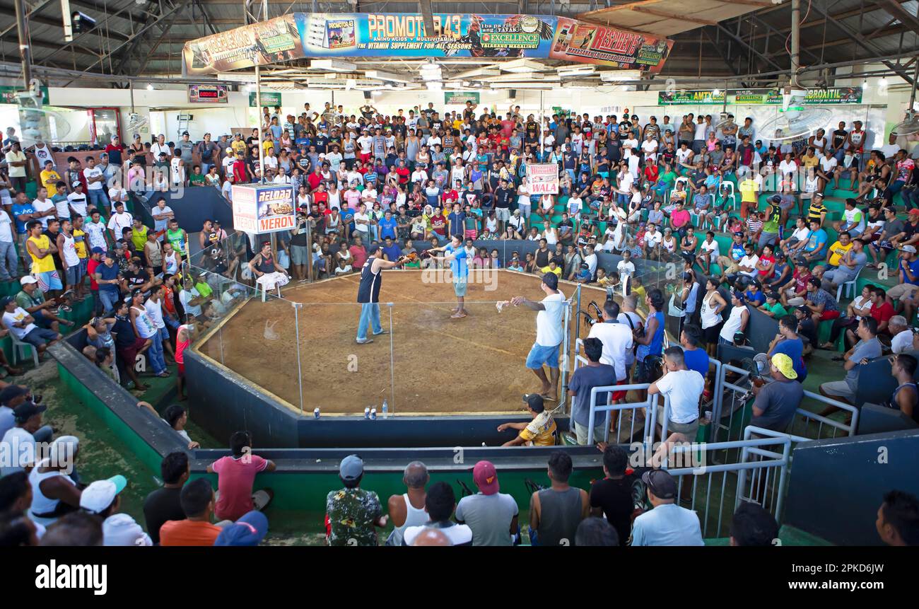 Cockfighting arena, Barangay Manoc-Manoc, Boracay Island, Visayas