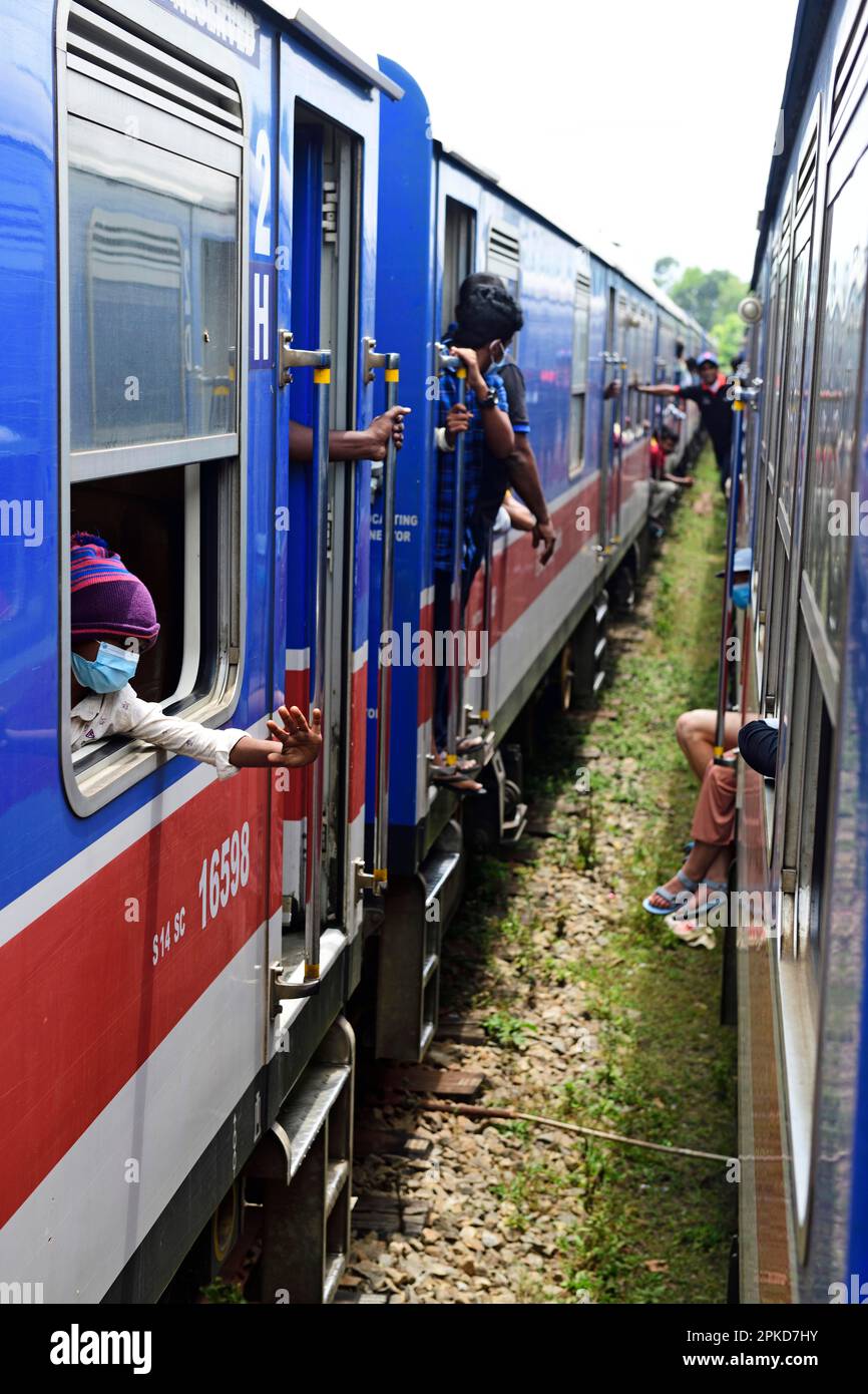Trains meet at Nanu Oya, Sri Lanka Stock Photo