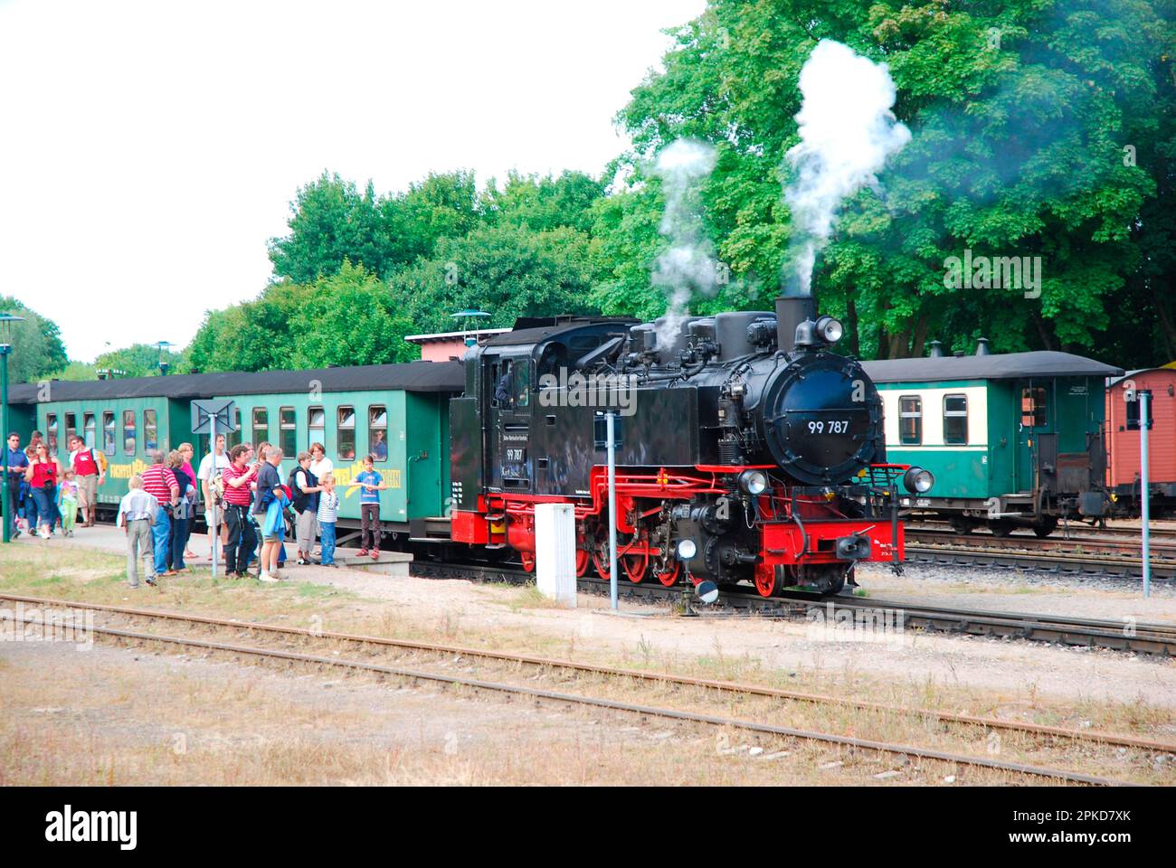 Steam train, nostalgia train, narrow-gauge railway, tourists, holiday, Molly, island, Ruegen, Mecklenburg-Western Pomerania, Germany Stock Photo