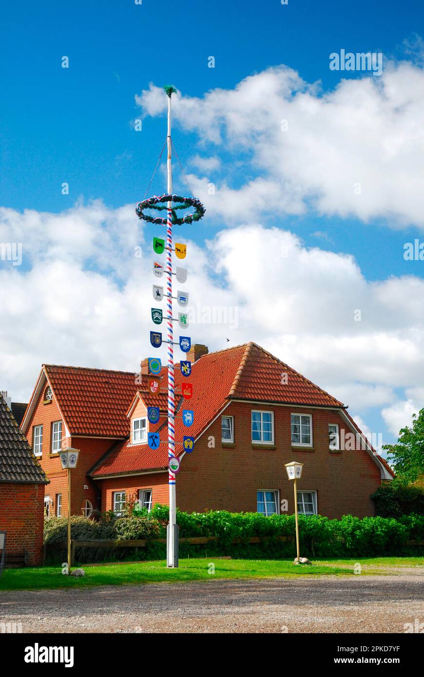 Brick house, Frisian house, guild tree, Nordstrand, North Frisia, Schleswig-Holstein, Germany Stock Photo