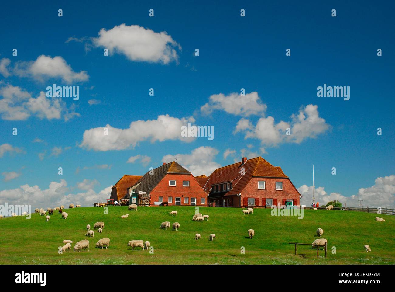 Brick houses, Frisian house, dwelling mound, Hallig, Suedfall, North Frisia, Wadden Sea, UNESCO World Heritage, Schleswig-Holstein, Hallig Suedfall Stock Photo