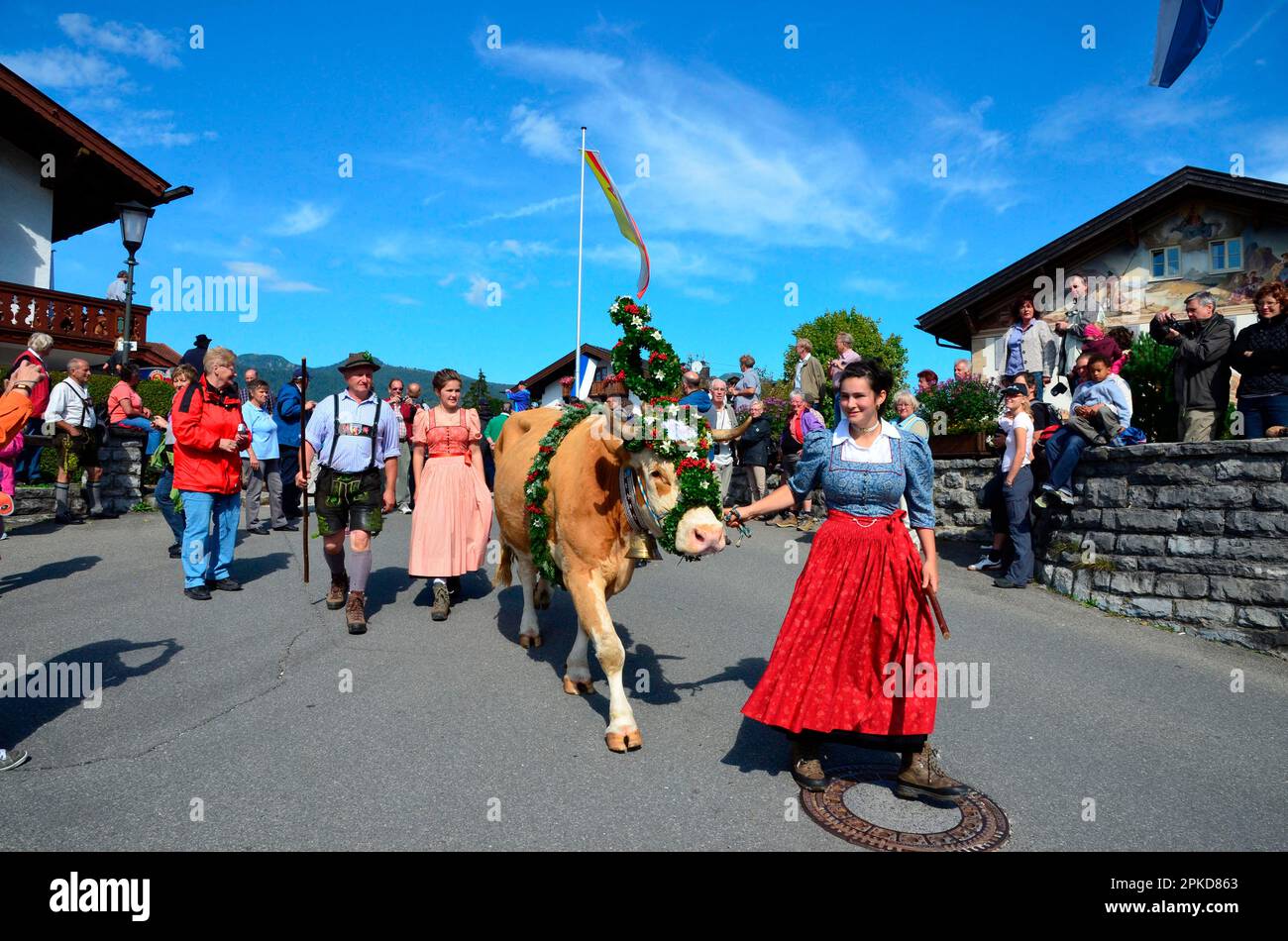 Customs, tradition, cow, decorated, Almabtrieb, Bavaria, Upper Bavaria