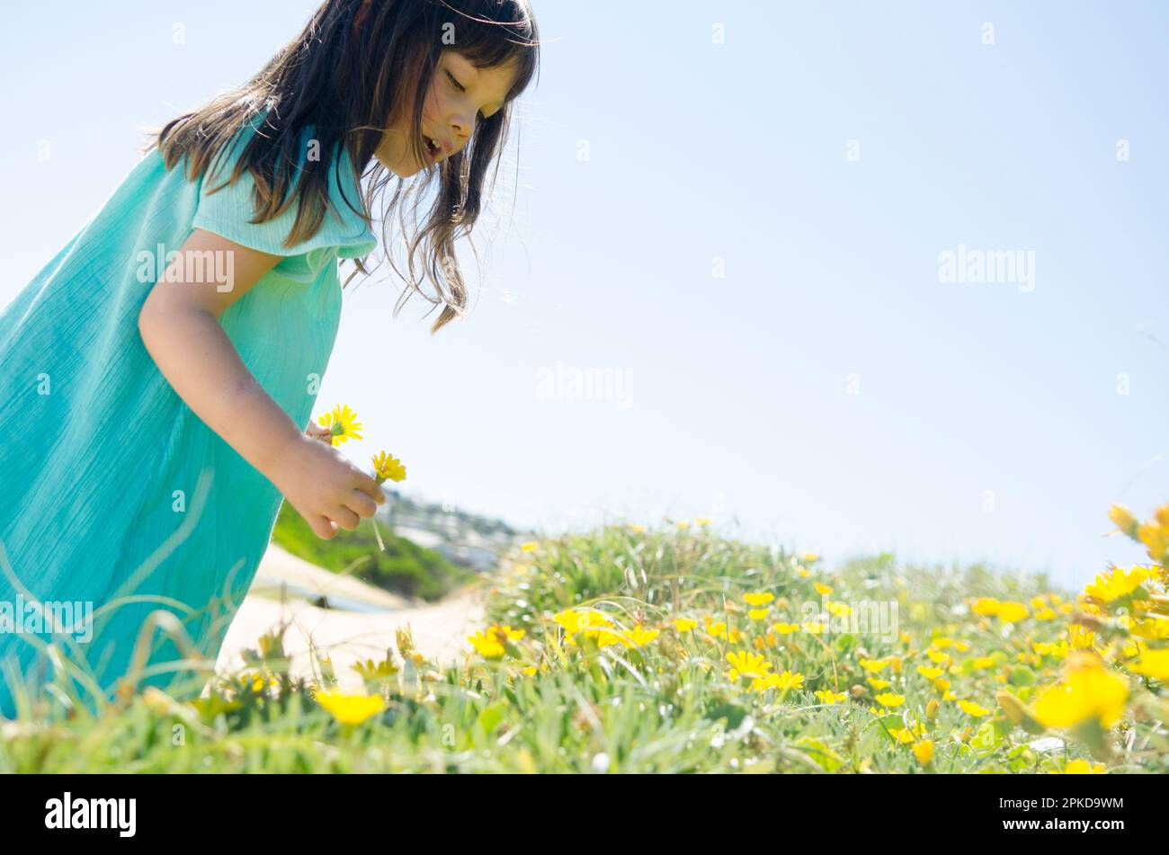 Girl with yellow flowers Stock Photo