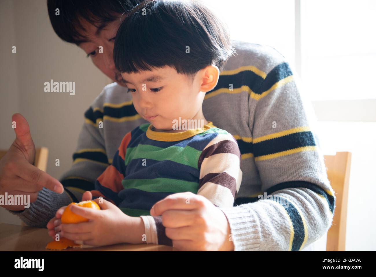 Parent and child peeling oranges Stock Photo