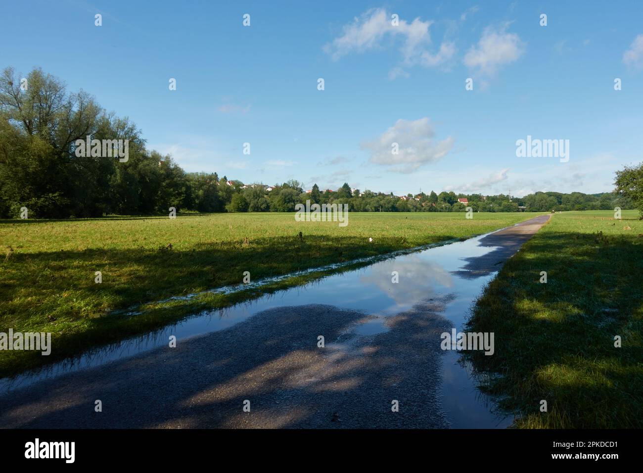 Water floods field path. Puddle on a gray road between green field ...