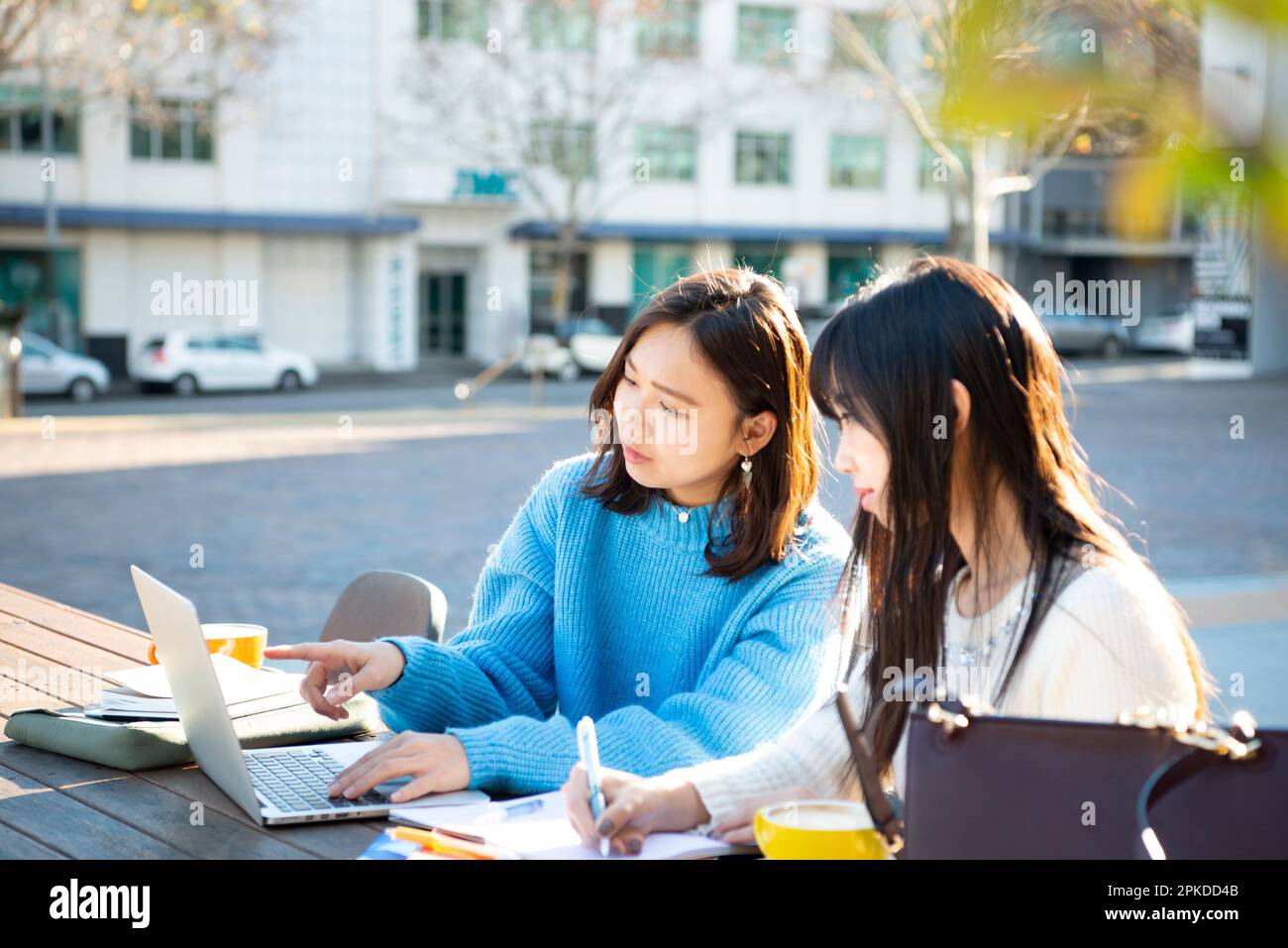 Two people studying at a cafe Stock Photo Alamy