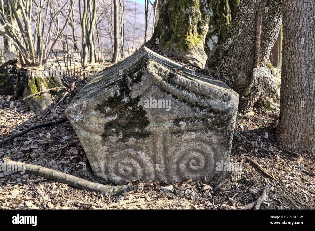 Đurići, Šekovići, Bosnia and Herzegovina – February 2023: Necropolis with medieval Stecak tombstones Bečani is inscripted as UNESCO world heritage sit Stock Photo