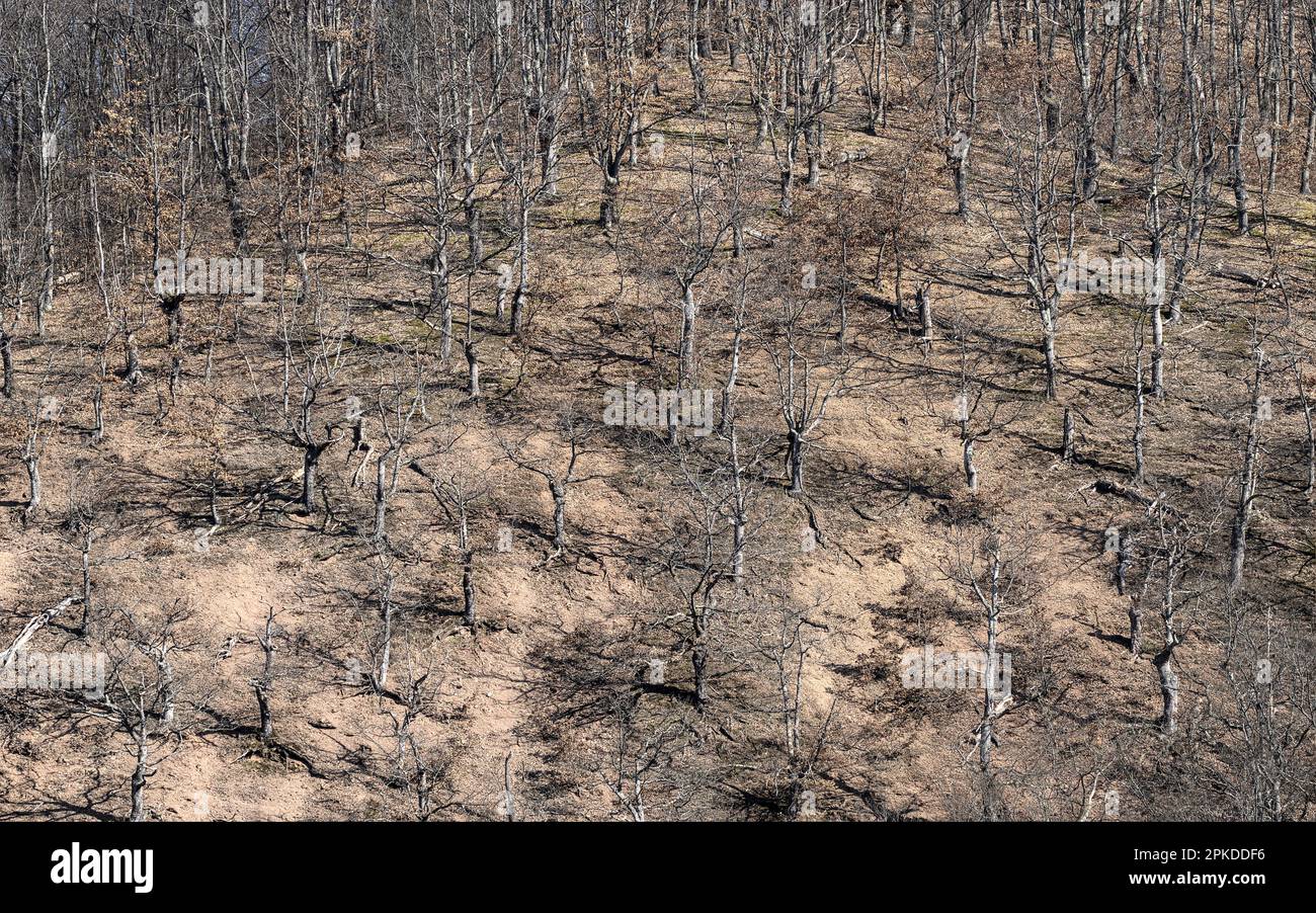 Sekovici hires stock photography and images Alamy