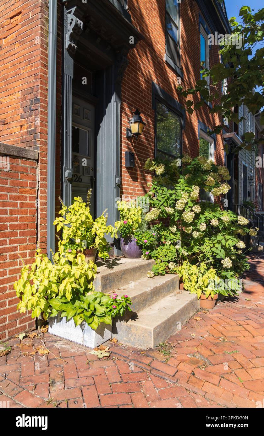 Quaint red brick row houses with front stoop and blooming hydrangea bush in autumn on a street in Harrisburg, capital of Pennsylvania USA Stock Photo