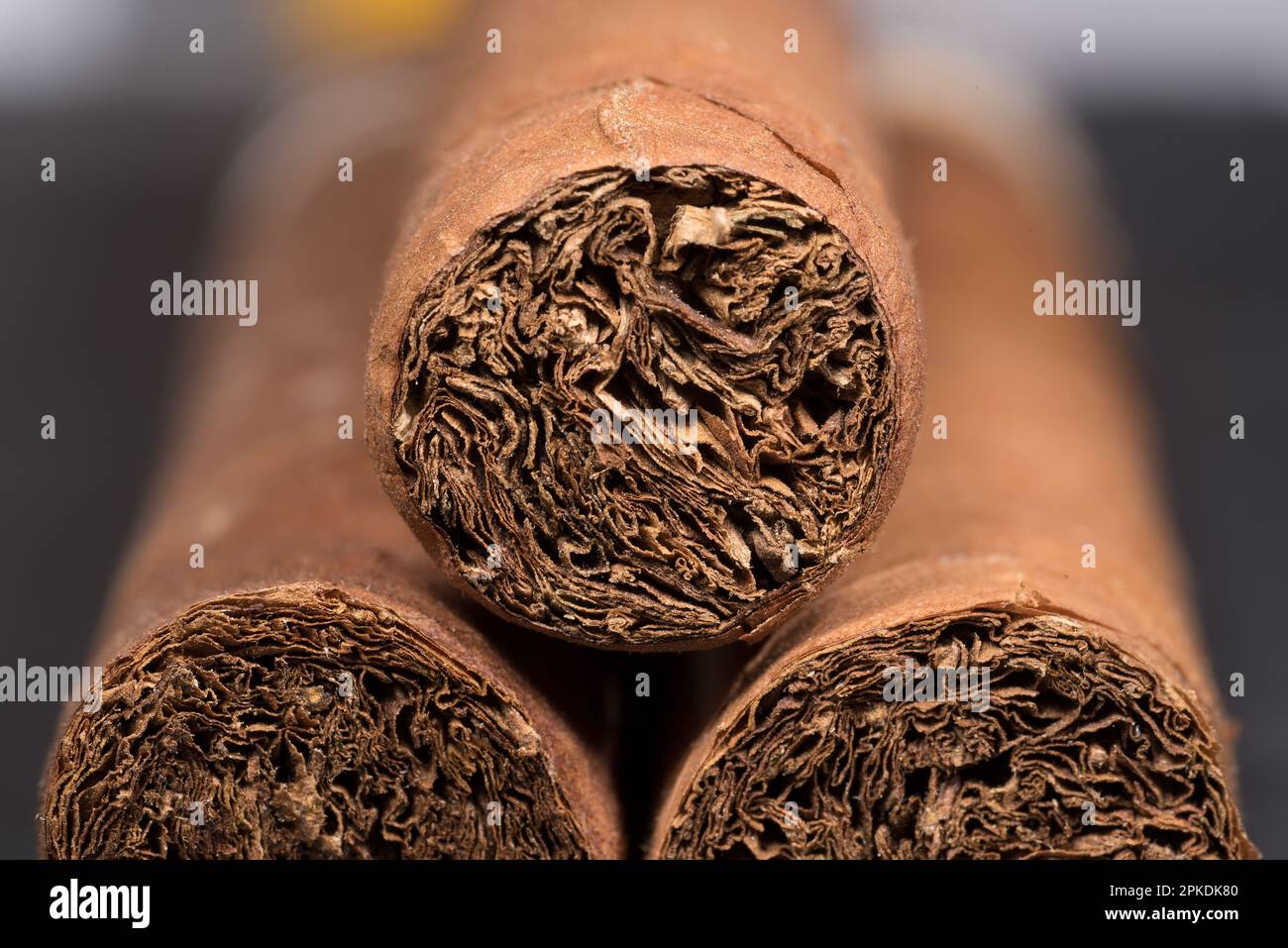 foto macro di sigari cubani Stock Photo
