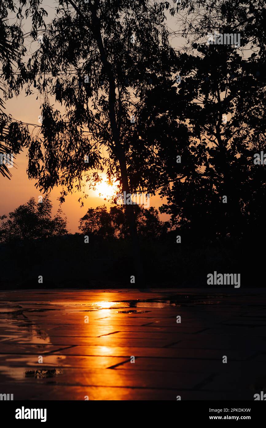 Sun setting behind trees hi-res stock photography and images - Alamy