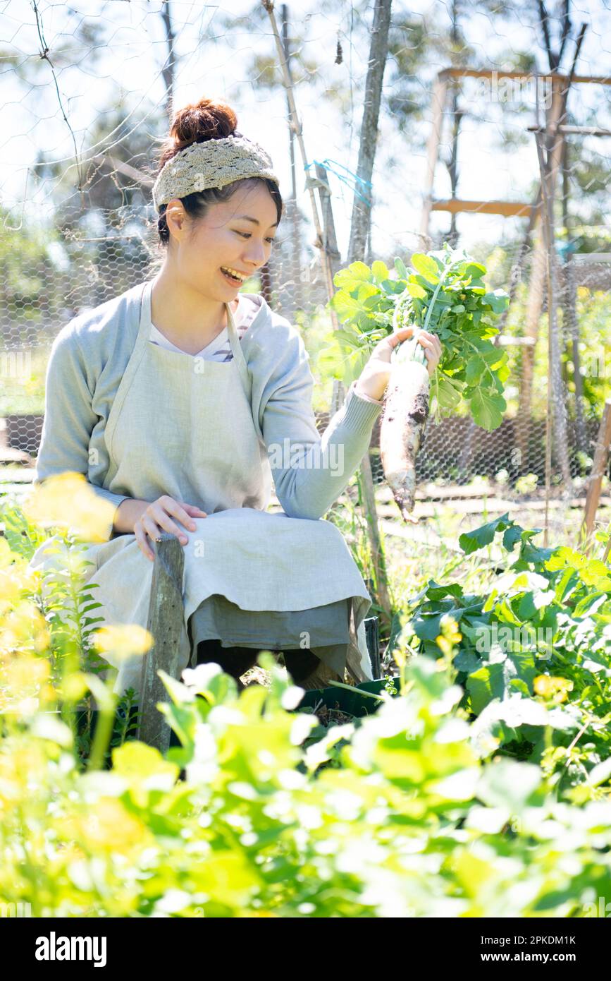 A woman looking at radishes harvested in a field Stock Photo