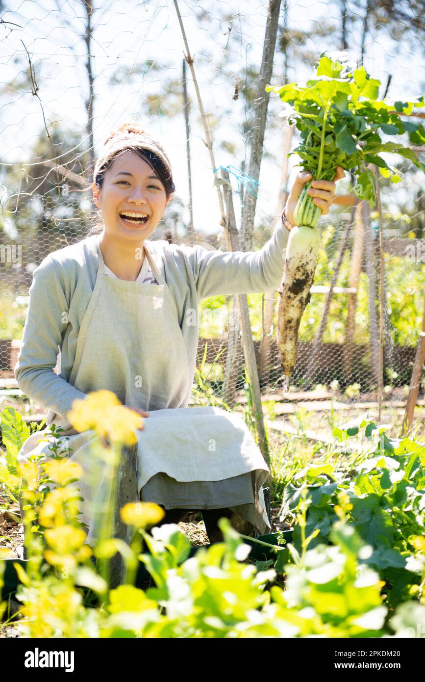 A woman happily holding daikon radishes harvested in the field Stock Photo
