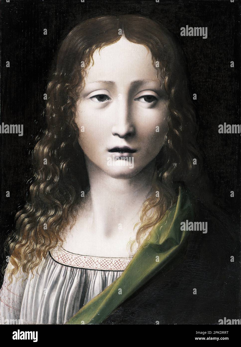 El Salvador adolescente Ca. 1490-1495 by Giovanni Antonio Boltraffio ...