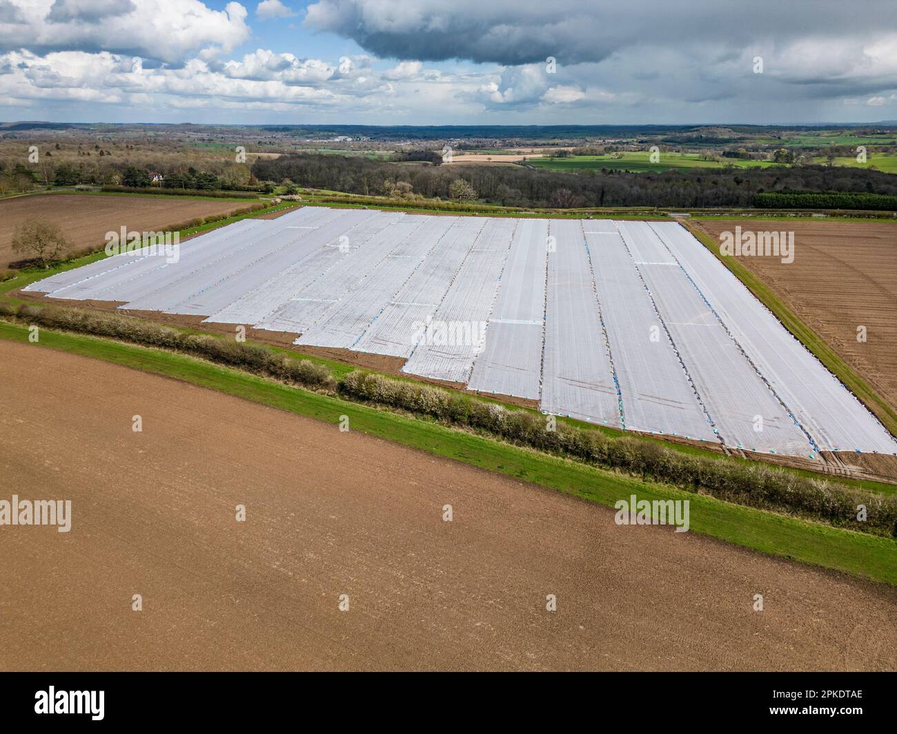 Getting ready for spring planting, a field is covered in plastic sheet