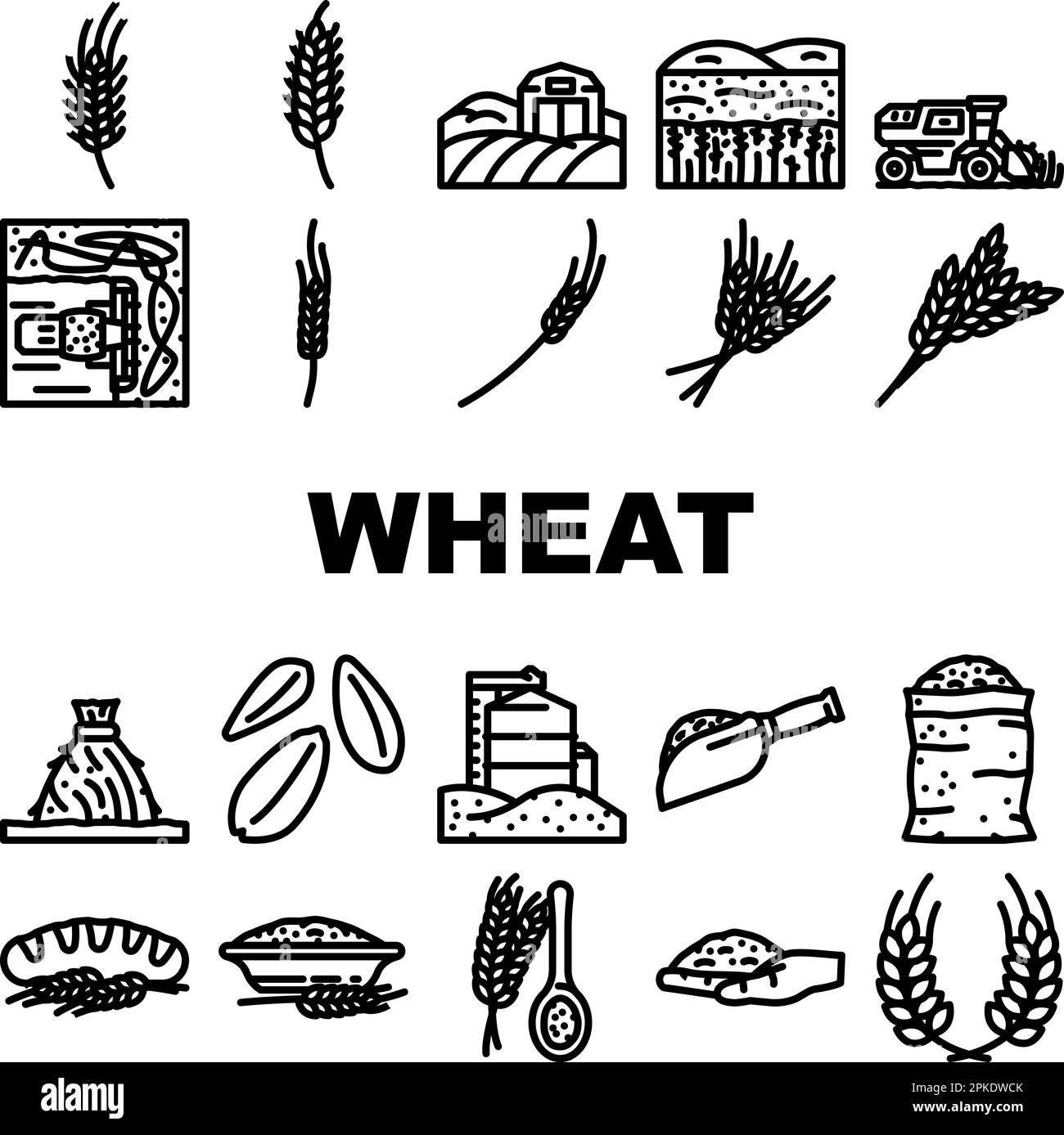wheat grain cereal plant icons set vector Stock Vector Image & Art Alamy