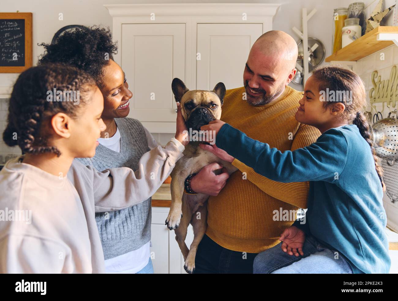 Bulldog sales down syndrome
