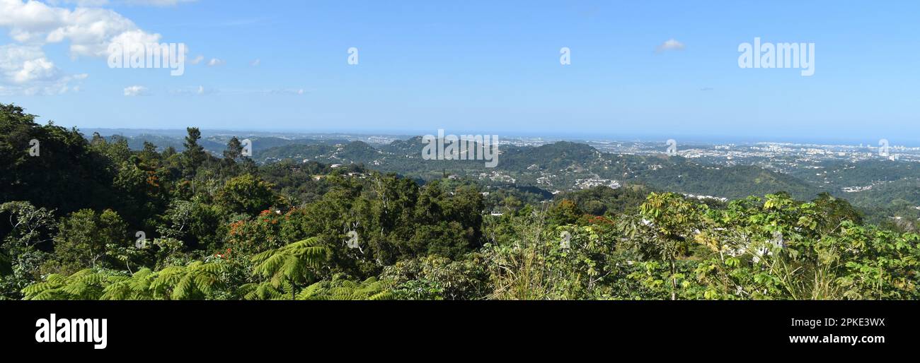 Enjoying the gifts of Mother Nature at the enchanted Island  of Puerto Rico Stock Photo