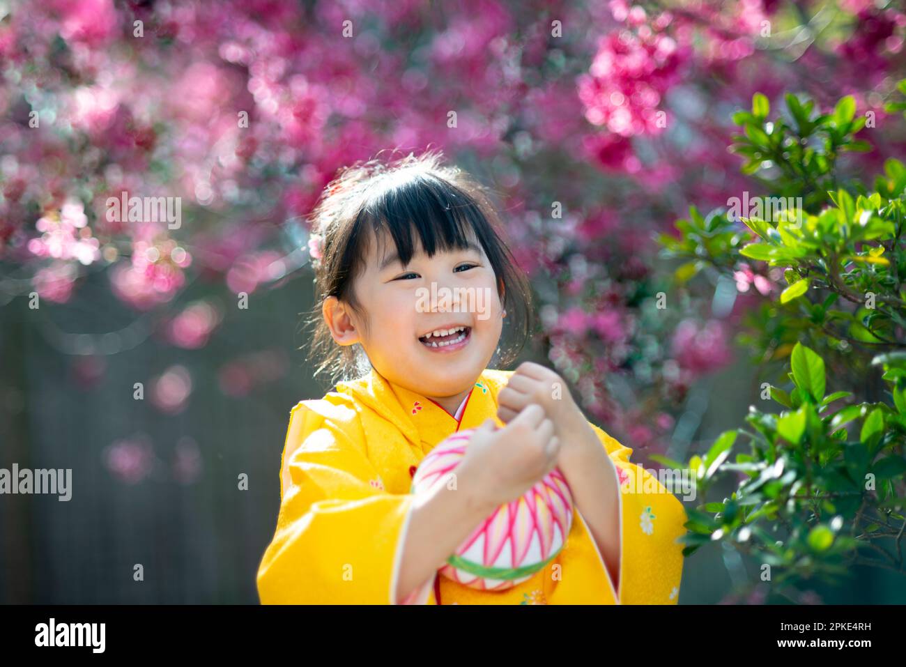 Girl laughing in a kimono of the Seven-Five-Three-Three Stock Photo