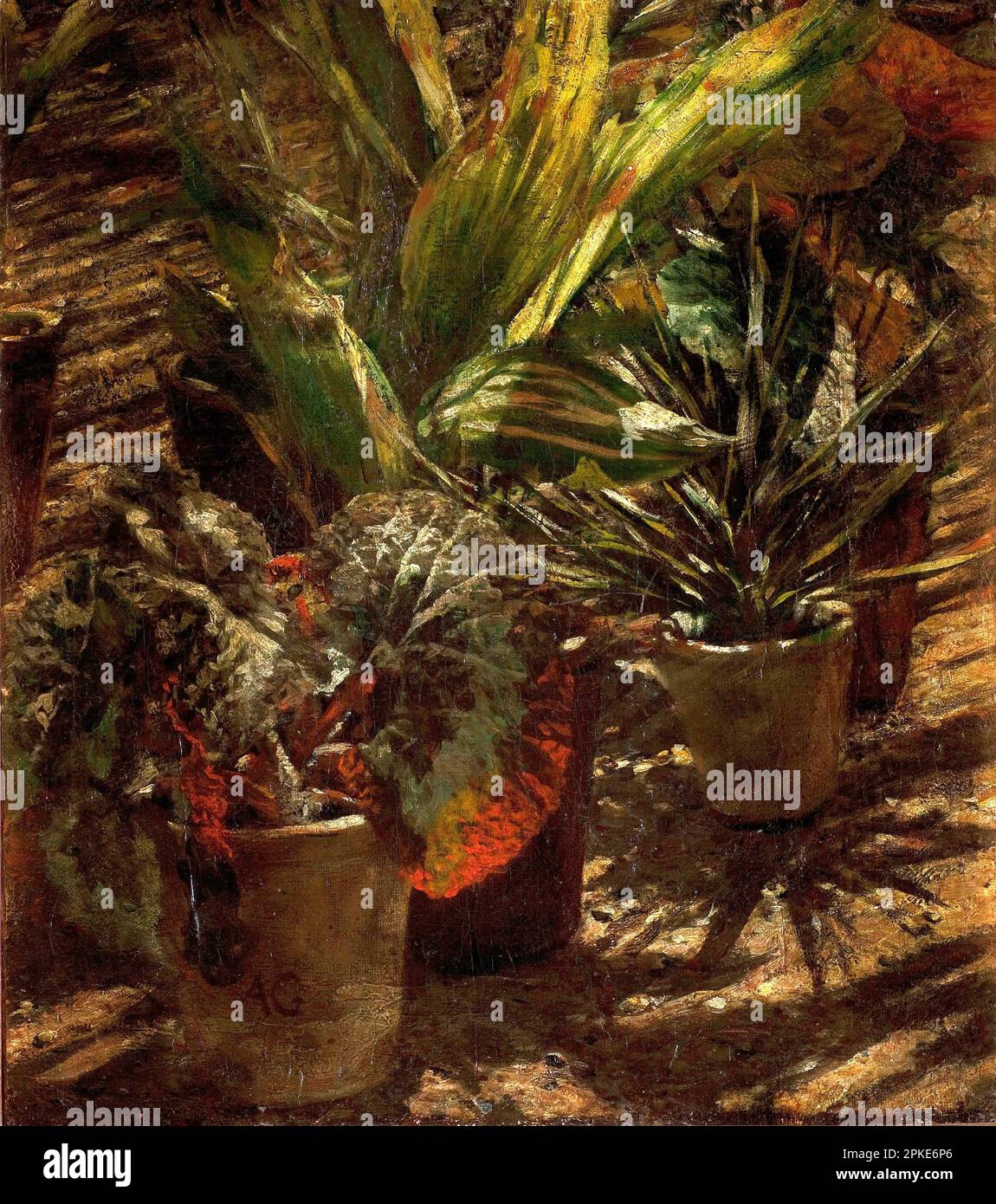 Begonias between 1876 and 1880 by Aleksander Gierymski Stock Photo
