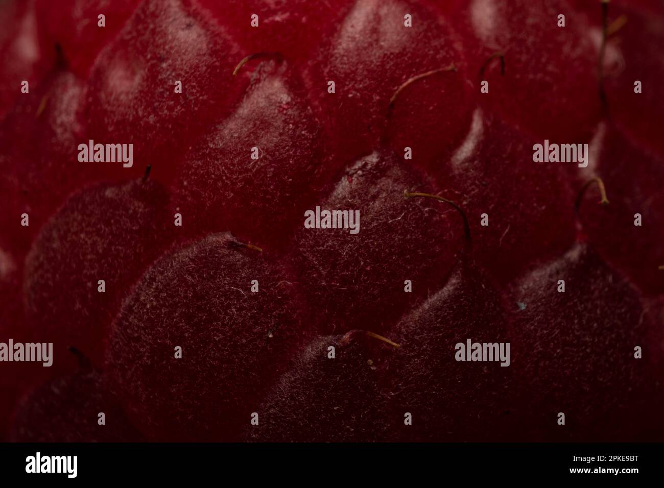 Raspberry - close up Stock Photo