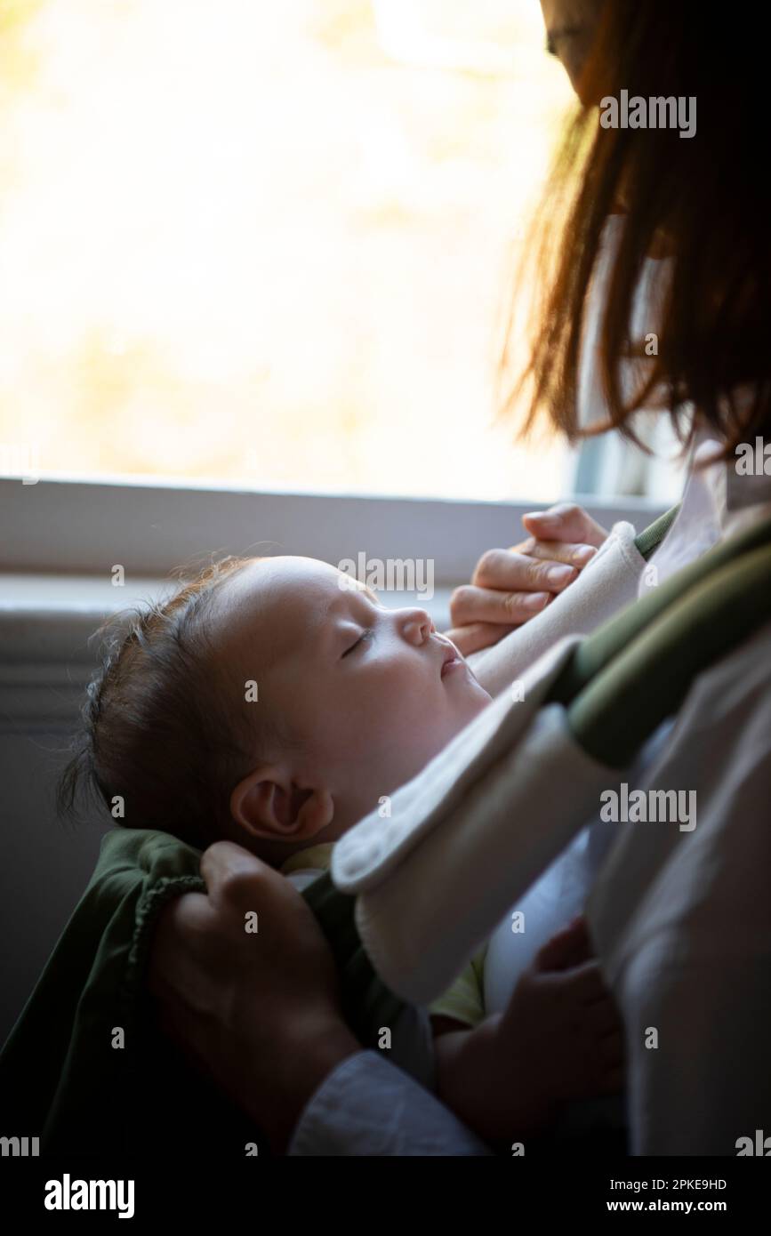 Sleeping baby in carrier Stock Photo Alamy