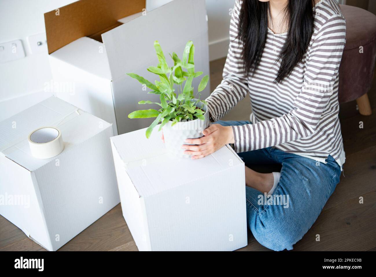 Woman holding a plant pot surrounded by moving cardboard Stock Photo ...