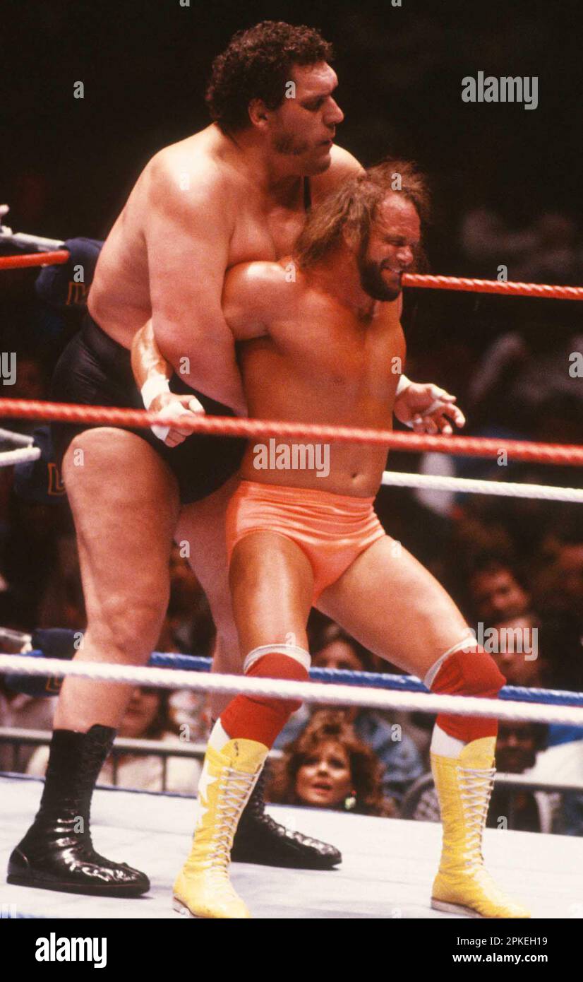 1989 Randy Savage Andre The Giant Photo by John Barrett/PHOTOlink