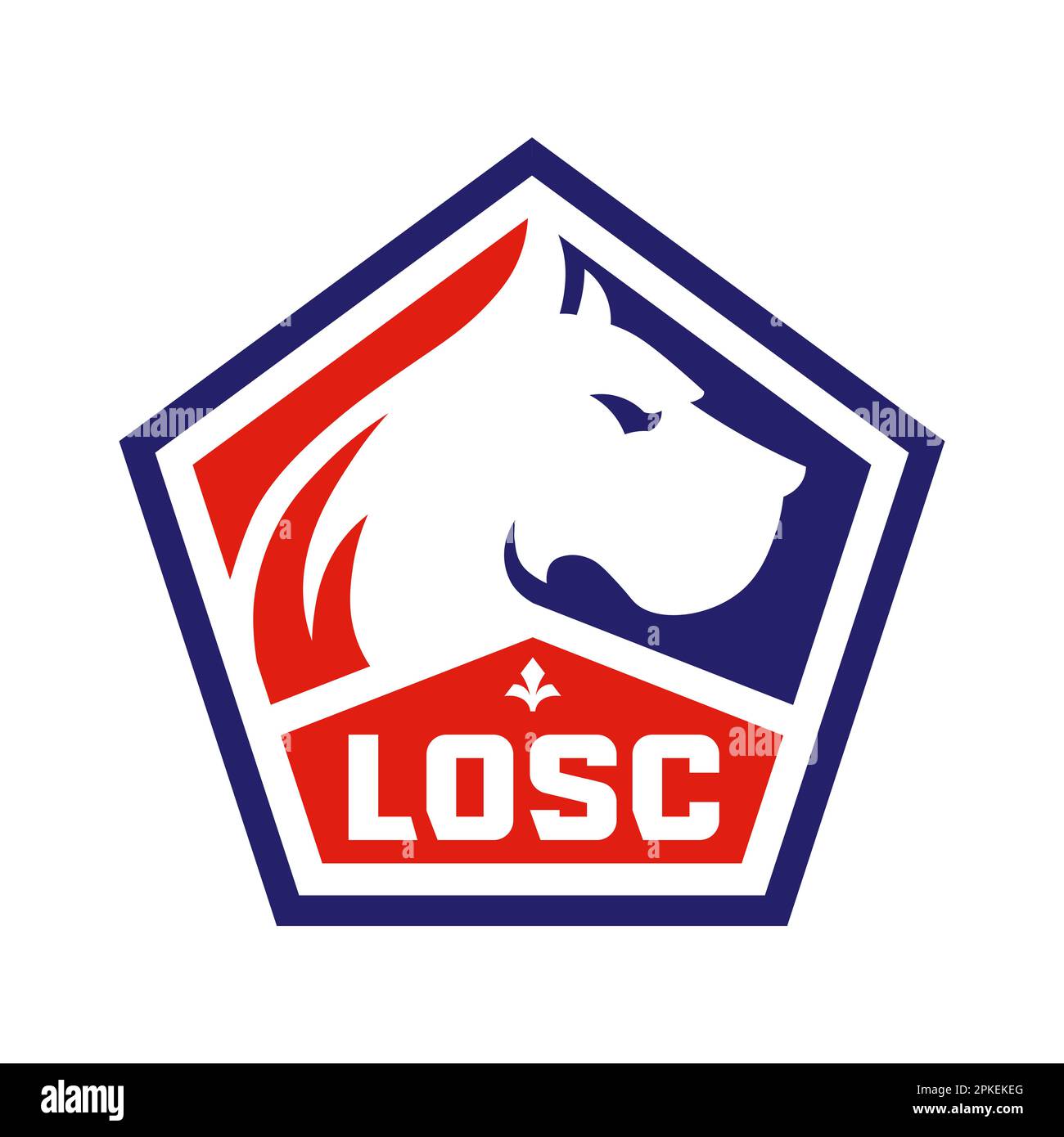 Vinnitsa, Ukraine - December 14, 2022: Football soccer. FC team Losc club logo icon. Stock Vector
