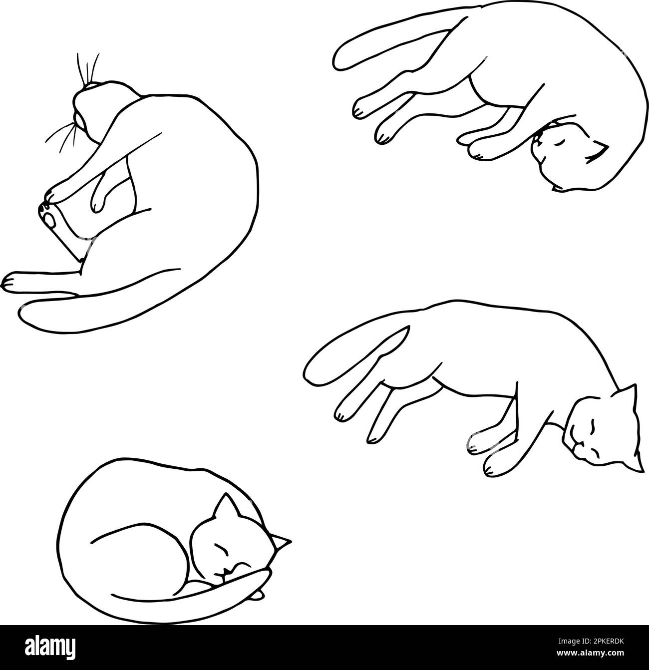 Vector illustration of sleeping cat poses on white background Stock