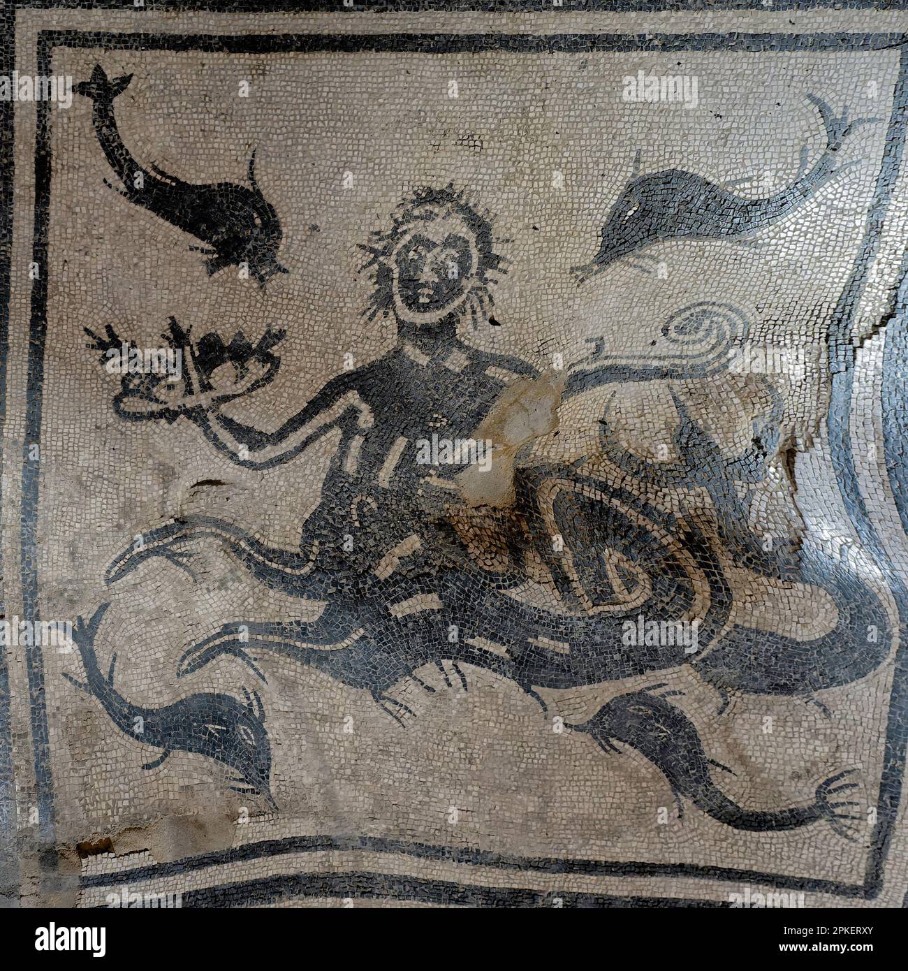 The mosaic of Triton surrounded by Dolphins is in  the tepidarium of the Central Thermal at Herculaneum. It has partially collapsed into the hypocaust Stock Photo
