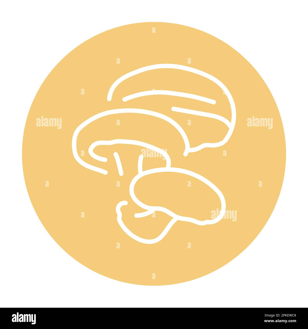 Shiitake mushroom color line icon. Cooking ingredient. Pictogram for ...